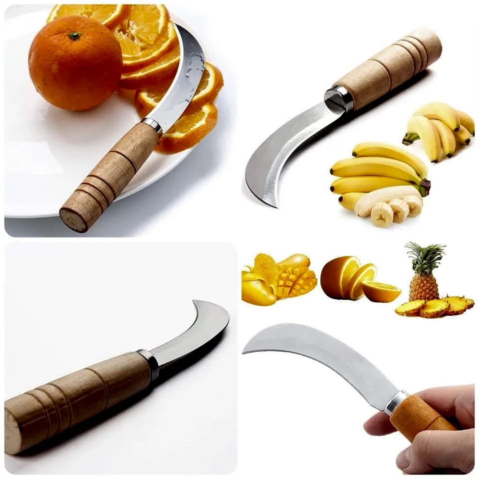 Stainless Steel Curved Fruit Peeler Knife – স্টেইনলেস স্টিল ফল কাটার ও পিলার নাইফ